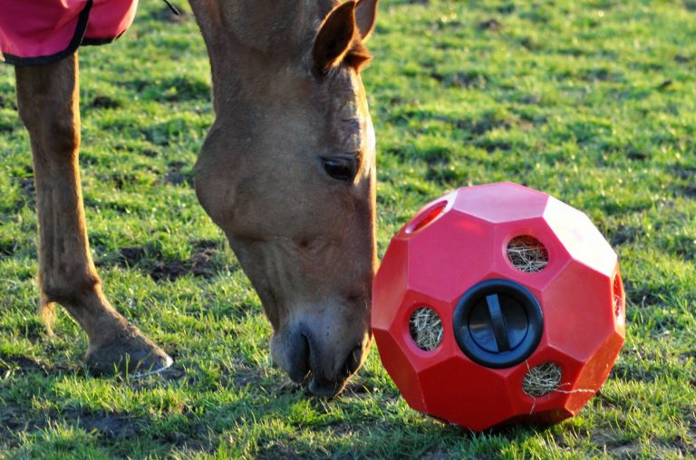 Hay Play Feeder Ball - Horse and Rider - Arena Supplies