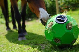 hay lay feeder ball in green with horse