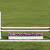 skinny training standards with a complete jump and flower box