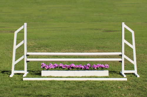 skinny training standards with a complete jump and flower box